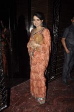 Shaina NC at new Lounge launch at Palladium in Palladium Hotel, Mumbai on 29th Nov 2013